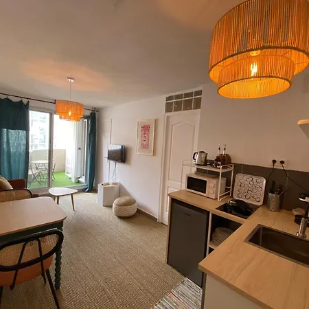 Superbe T2 Coté Gare Parking Clim Wifi Terrasse ! Appartement